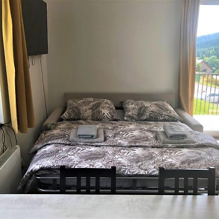 Apartman U Lomu Dolní Morava エクステリア 写真