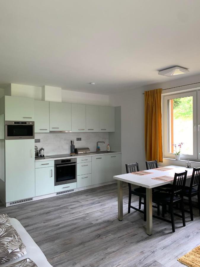 Apartman U Lomu Dolní Morava エクステリア 写真